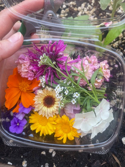 Fresh Edible Flowers
