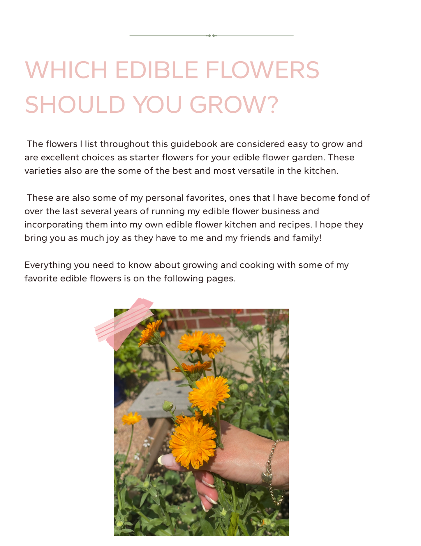 The Edible Flower Garden & Kitchen Guidebook (Digital Download)