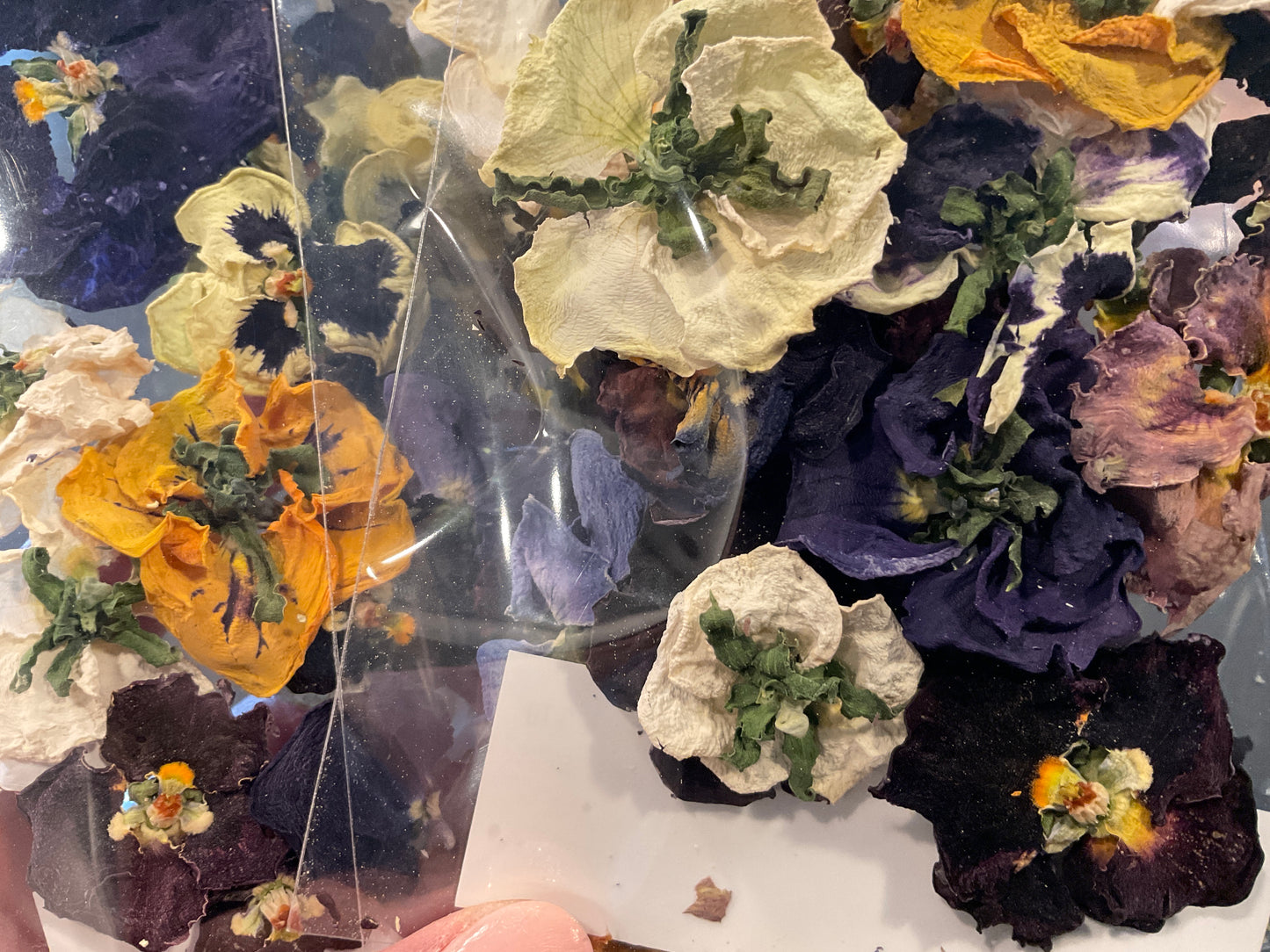 Dehydrated Flowers
